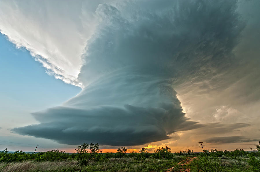 Turkey, Texas by Colt Forney Turkey, Texas by Colt Forney