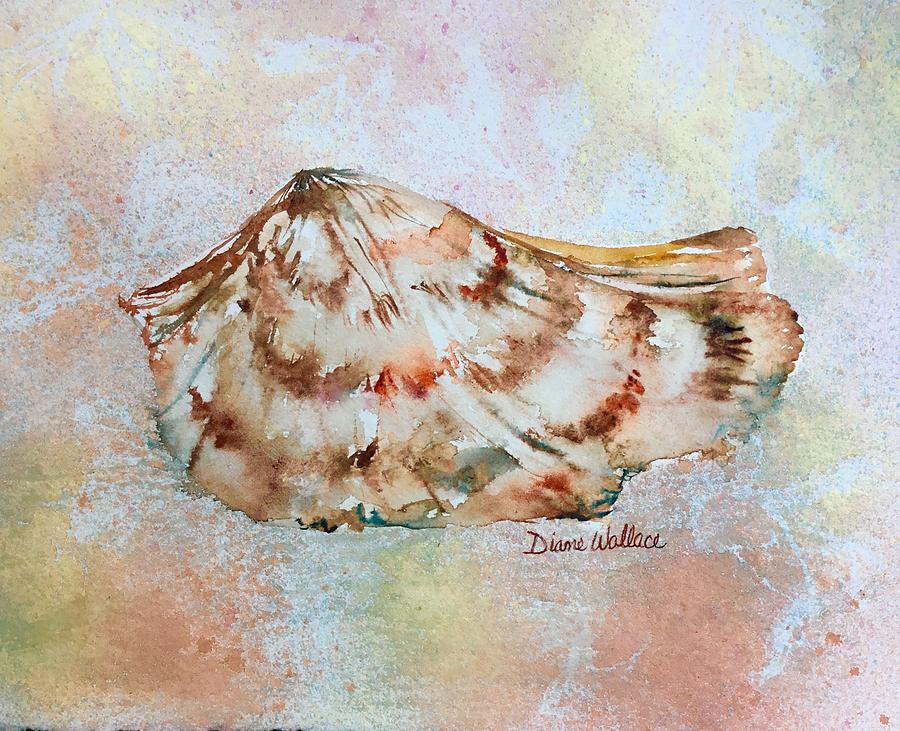 Shell Painting - Turkey WIng by Diane Wallace