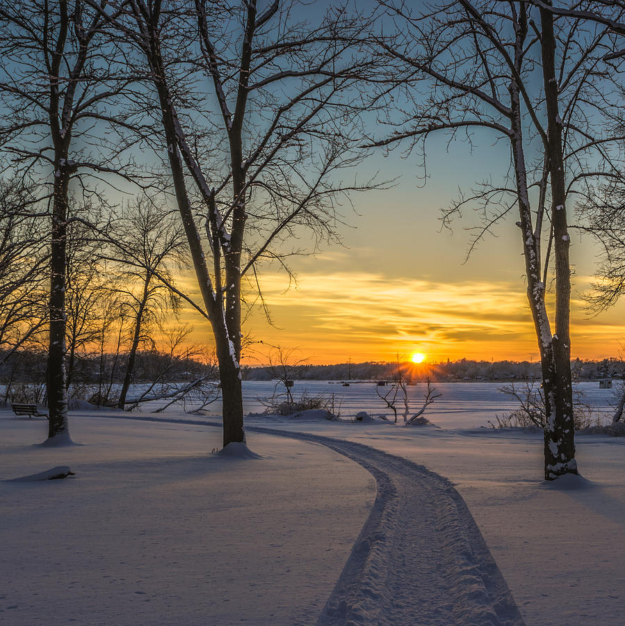Turn Left At The Sunset Photograph by Randy Scherkenbach