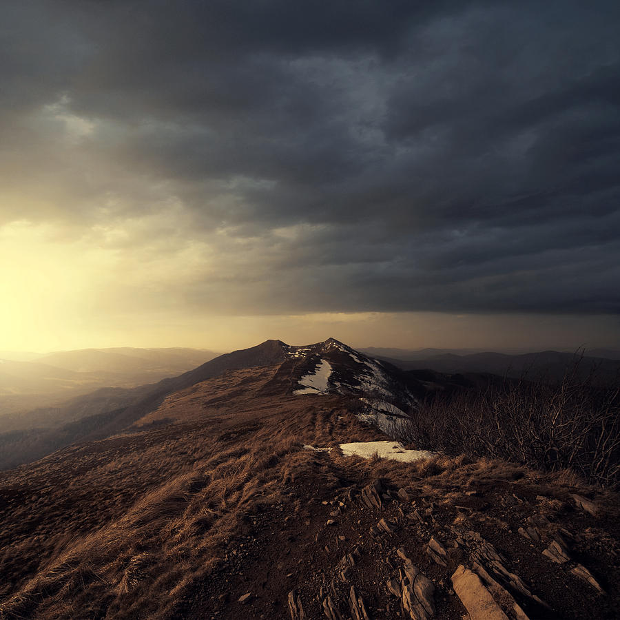 Turn To Light Photograph by Michal Karcz