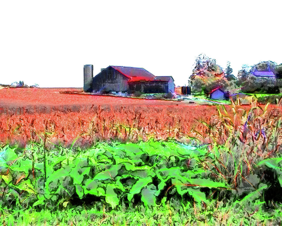 Autumn Corn Field Digital Art by Leslie Montgomery