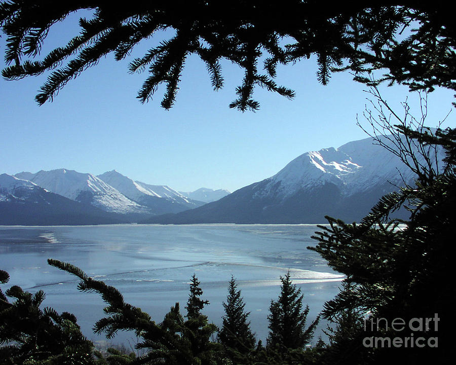 Turnagain Arm Kenai Range Alaska Photograph by Kimberly Blom-Roemer