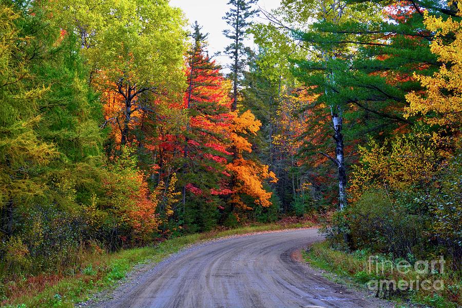Turning Into Fall Photograph by John Fabina