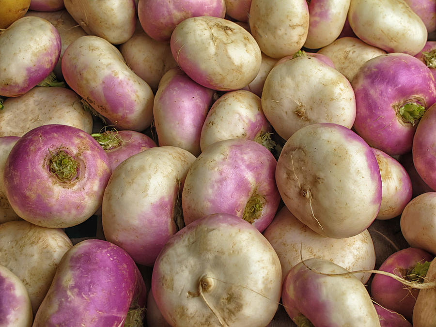Turnips Photograph by Dave Mills