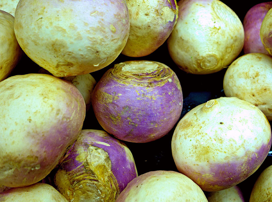 Turnips Photograph by Robert Meyers-Lussier