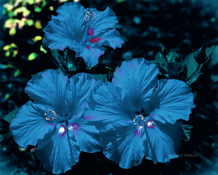 Flower Photograph - Turquois Trio by DigiArt Diaries by Vicky B Fuller