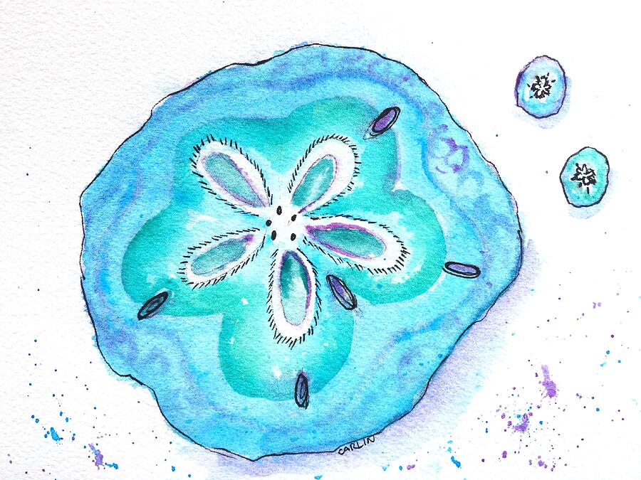 Nature Painting - Turquoise Blue Sand Dollar Shells by Carlin Blahnik CarlinArtWatercolor