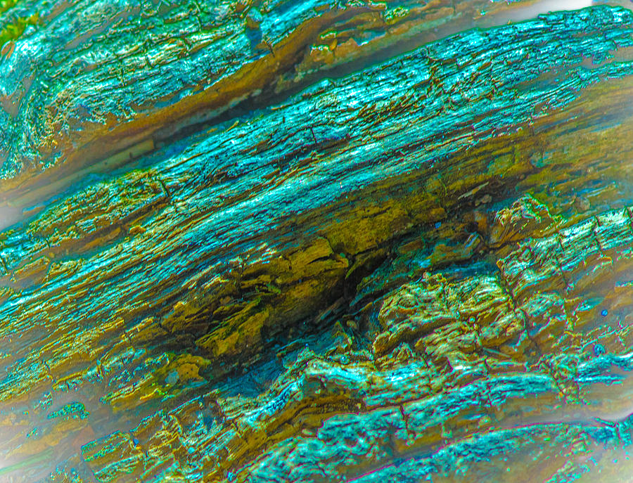 Turquoise Burl Abstract Photograph by Bruce Pritchett