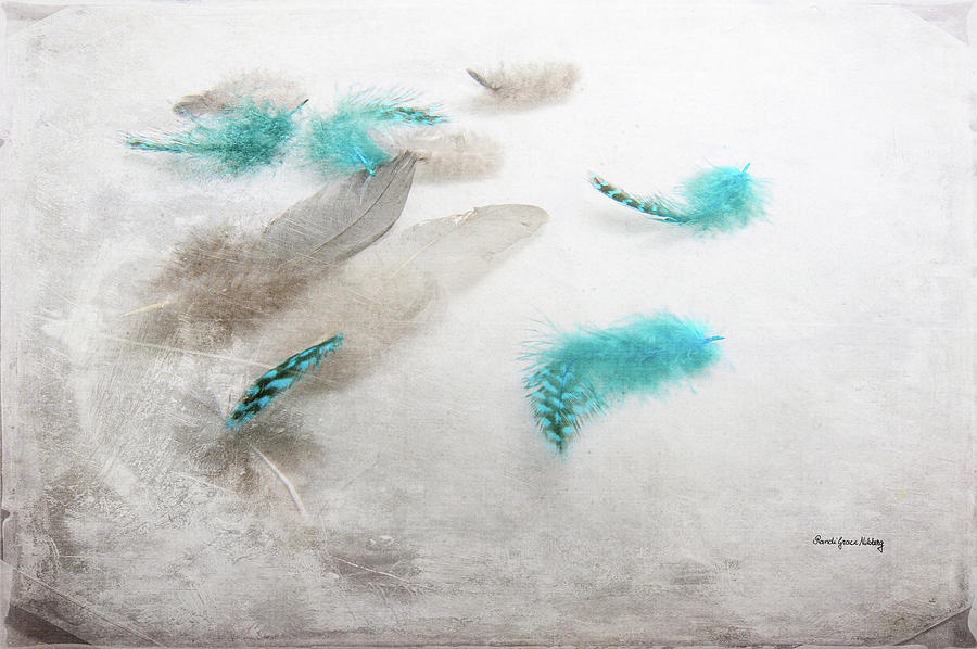 Turquoise Fluff Photograph