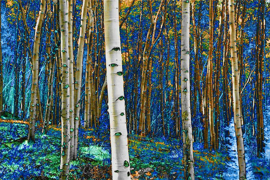 Turquoise Gold Aspens Photograph by Lanita Williams