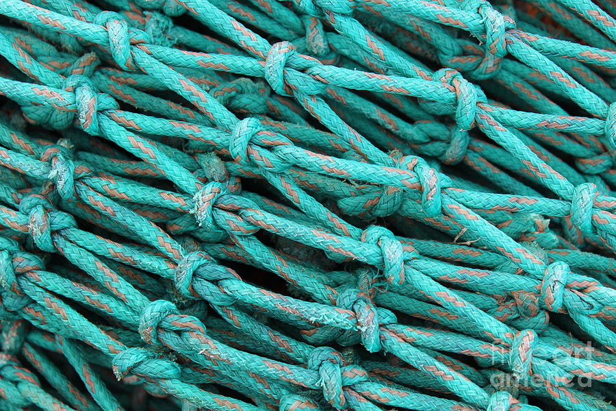 Turquoise Nets Photograph