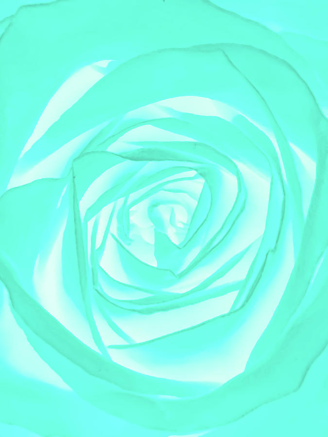 Flower Photograph - Turquoise Rose by Heather Joyce Morrill