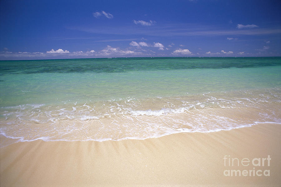 Turquoise Shoreline Photograph by Carl Shaneff - Printscapes