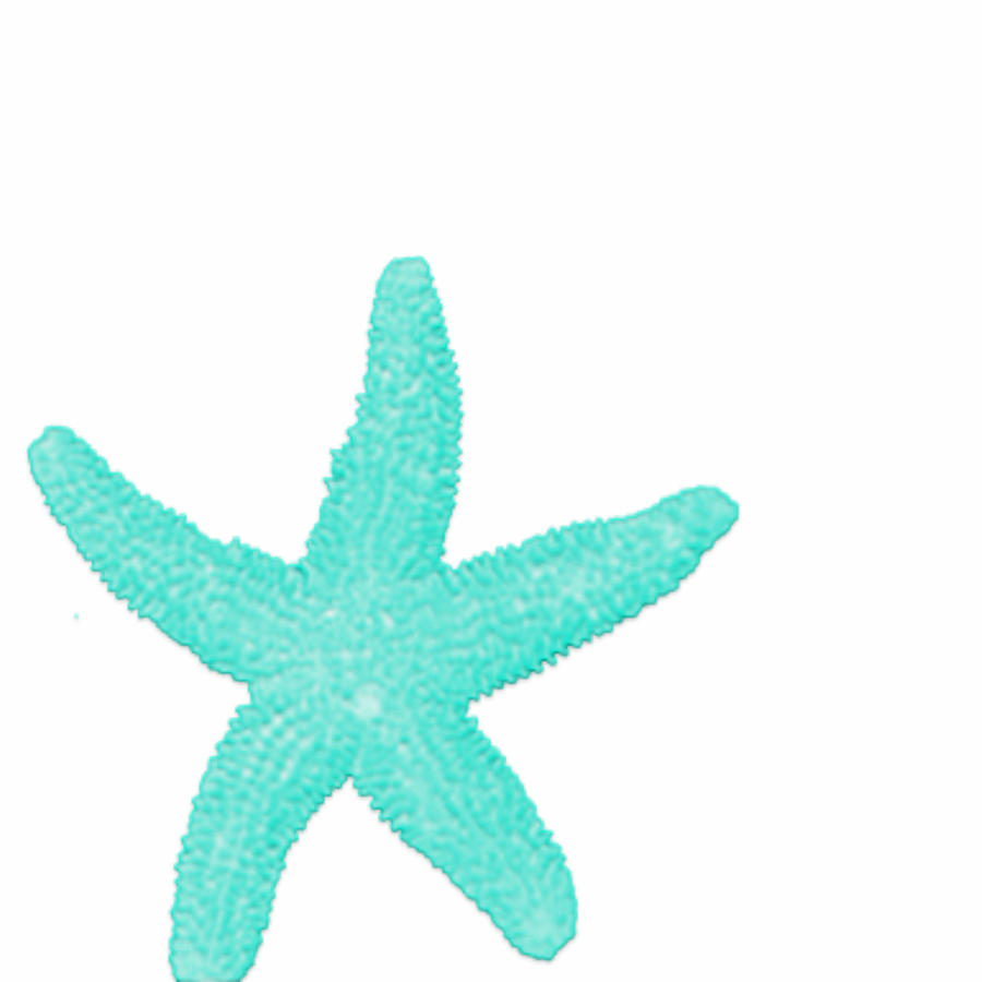 Turquoise Starfish Digital Art by Bonnie Bruno