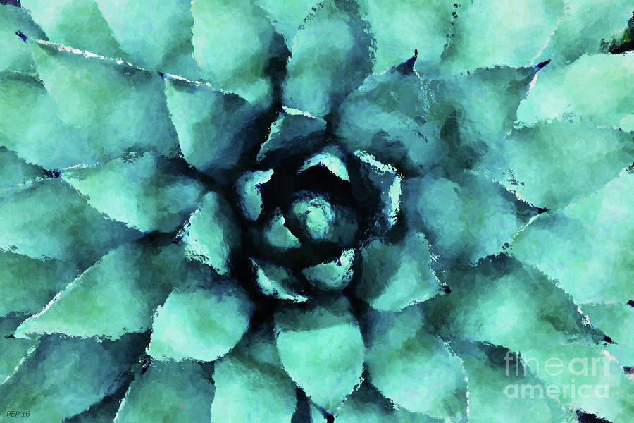 Turquoise Succulent Plant Digital Art by Phil Perkins