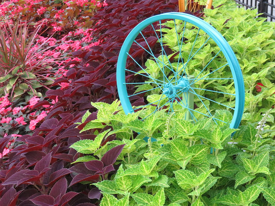 Turquoise Wheel Photograph by Cindy Kellogg - Fine Art America