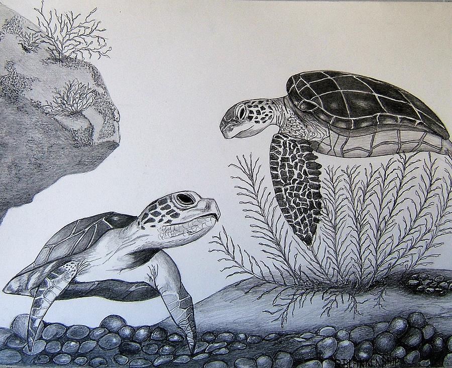 Sea Turtle Pencil Drawing by LB-DigitalDesign on DeviantArt