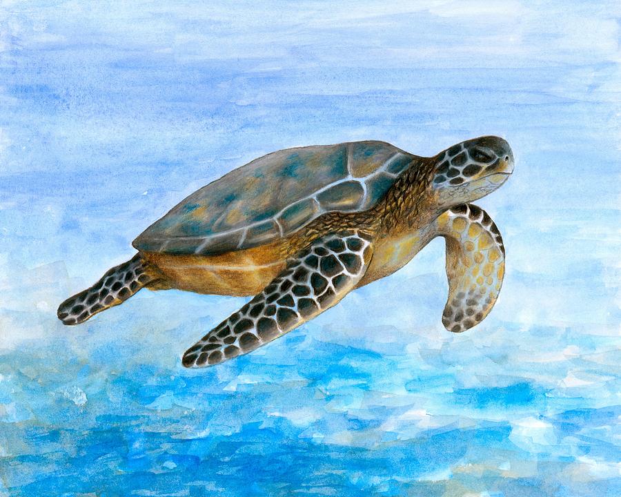 Turtle 1 Painting by Lucie Dumas