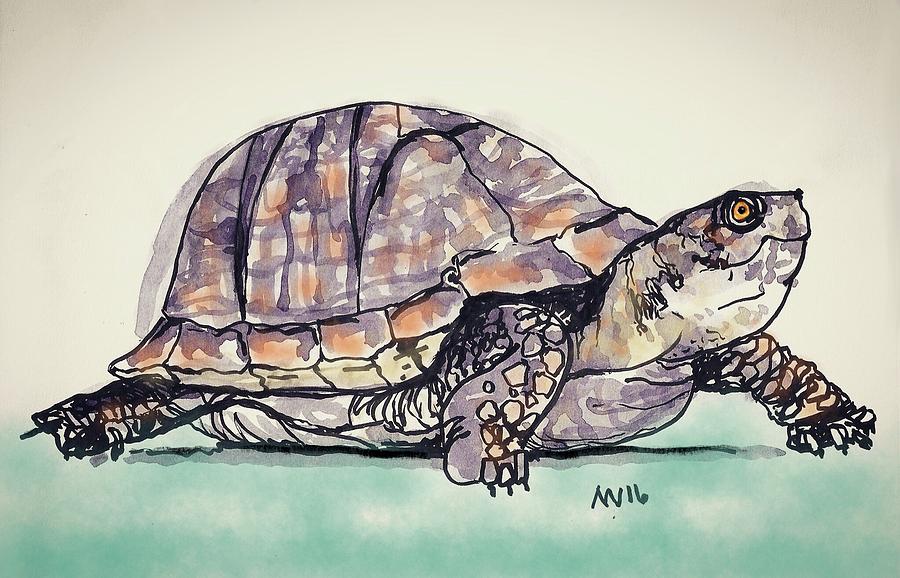 Turtle Digital Art by AnneMarie Welsh
