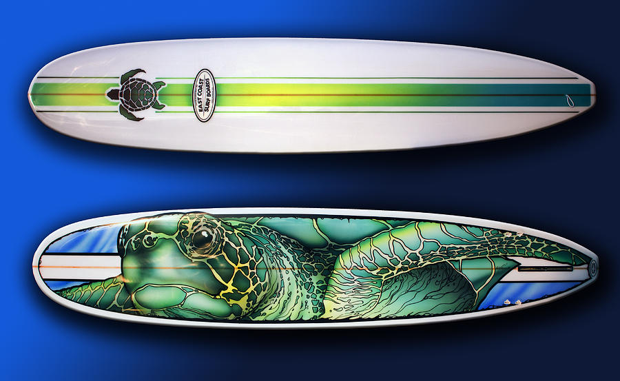 Turtle Board Painting by William Love