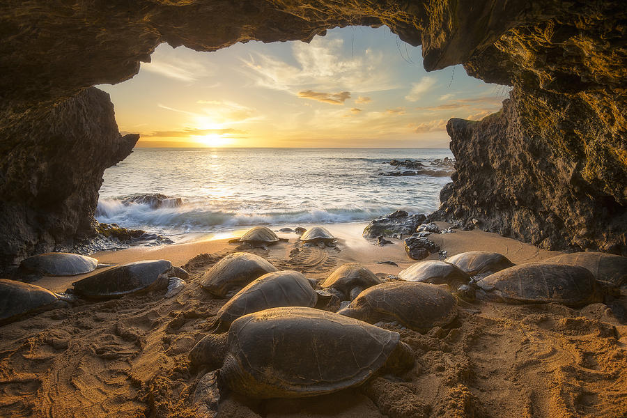 Turtle Cave Photograph by Hawaii Fine Art Photography