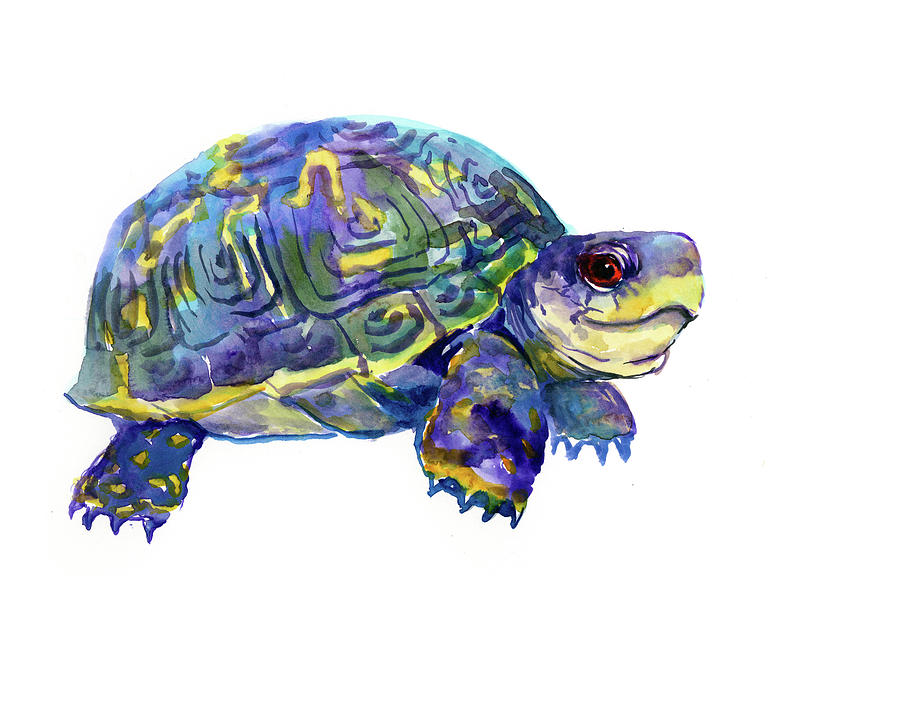 Turtle children art nursery artwork illustration Painting by Suren Nersisyan