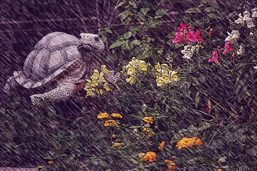 Turtle Cover Photograph by Leticia Latocki