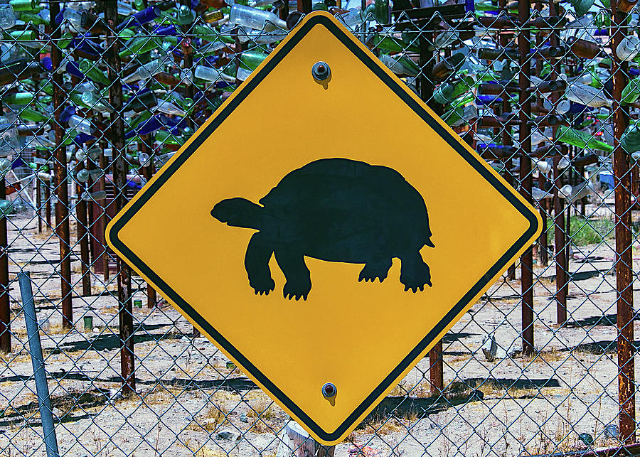 Turtle Crossing Sign Photograph by Garry Gay