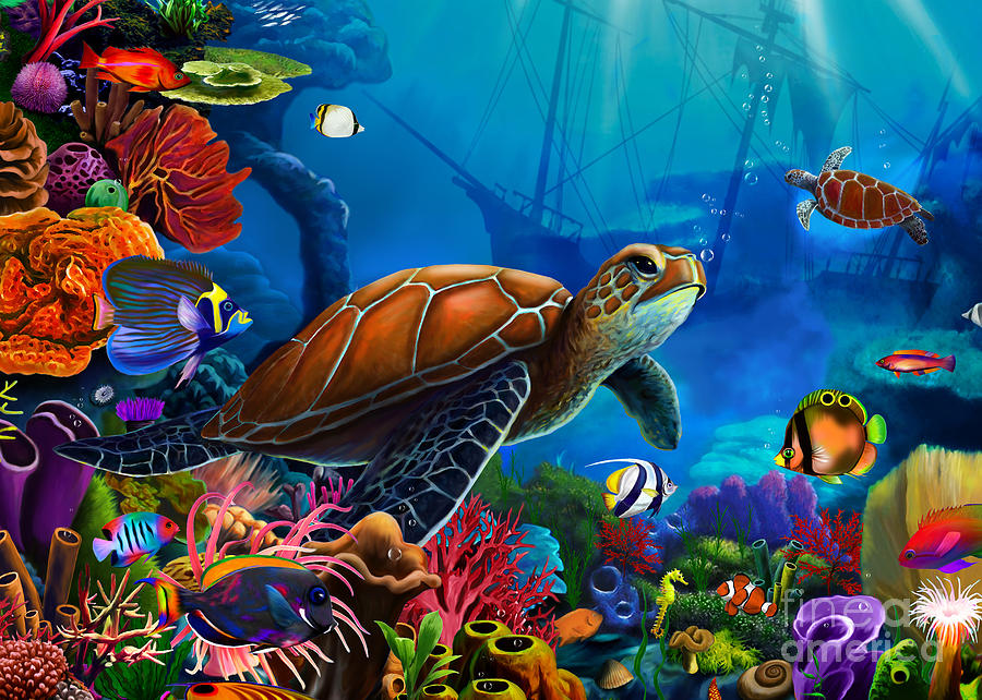 Fish Digital Art - Turtle Domain by MGL Meiklejohn Graphics Licensing