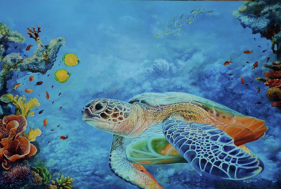 Turtle Painting by Dorota Czapska D - Fine Art America