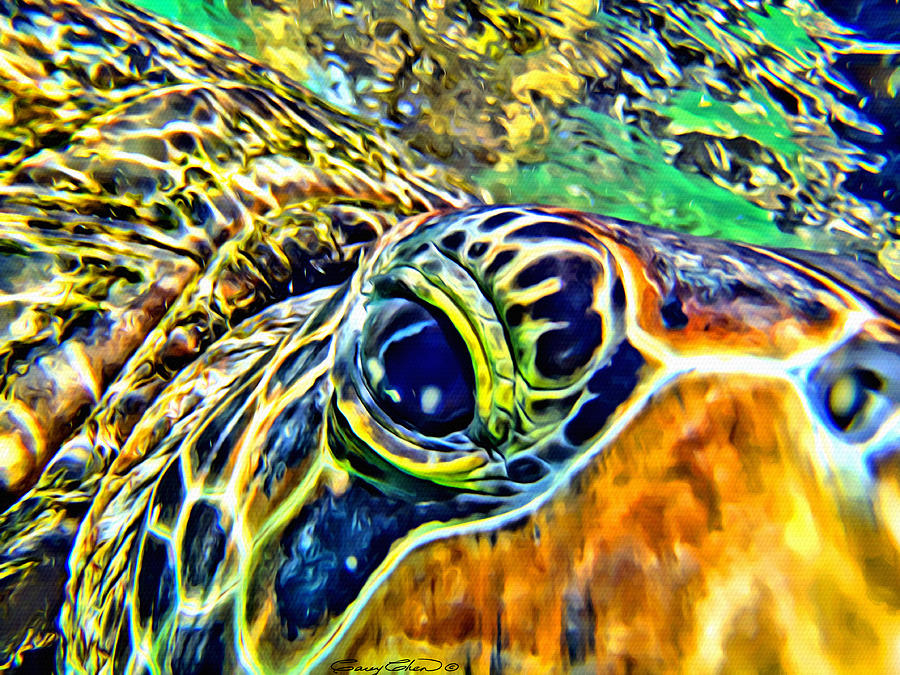 Turtle Eye Digital Art by Anthony C Chen Fine Art America