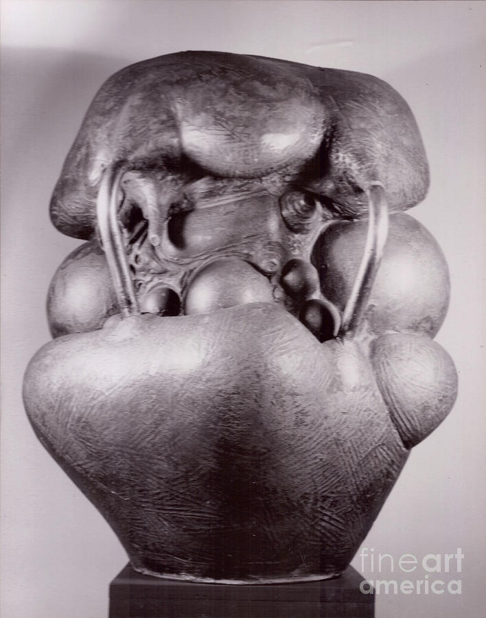 Turtle Form I  Sculpture by Robert F Battles