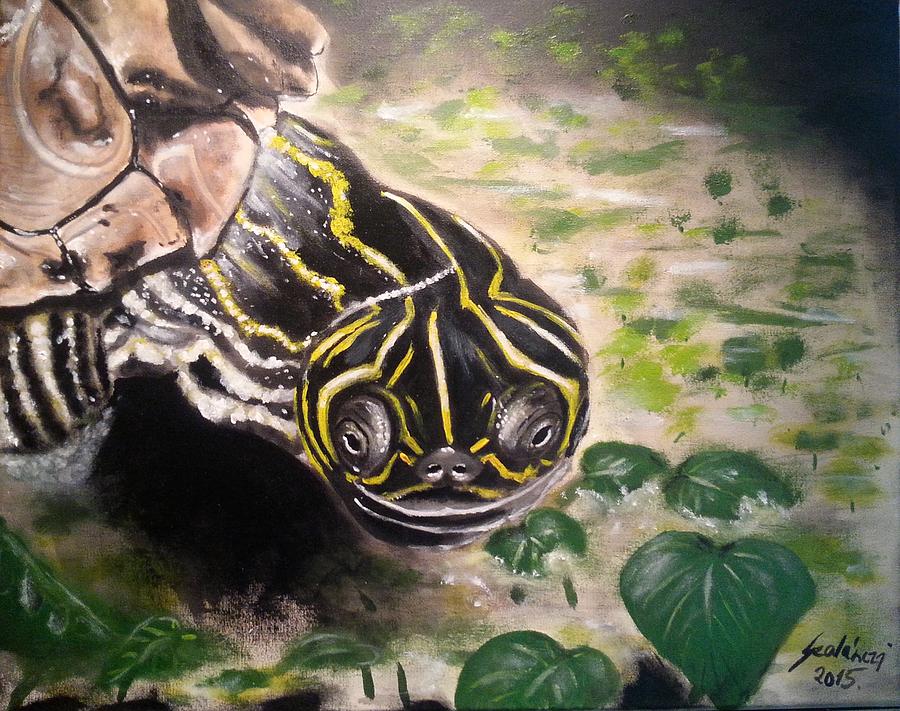 Turtle in the pond Painting by Judit Szalanczi | Fine Art America