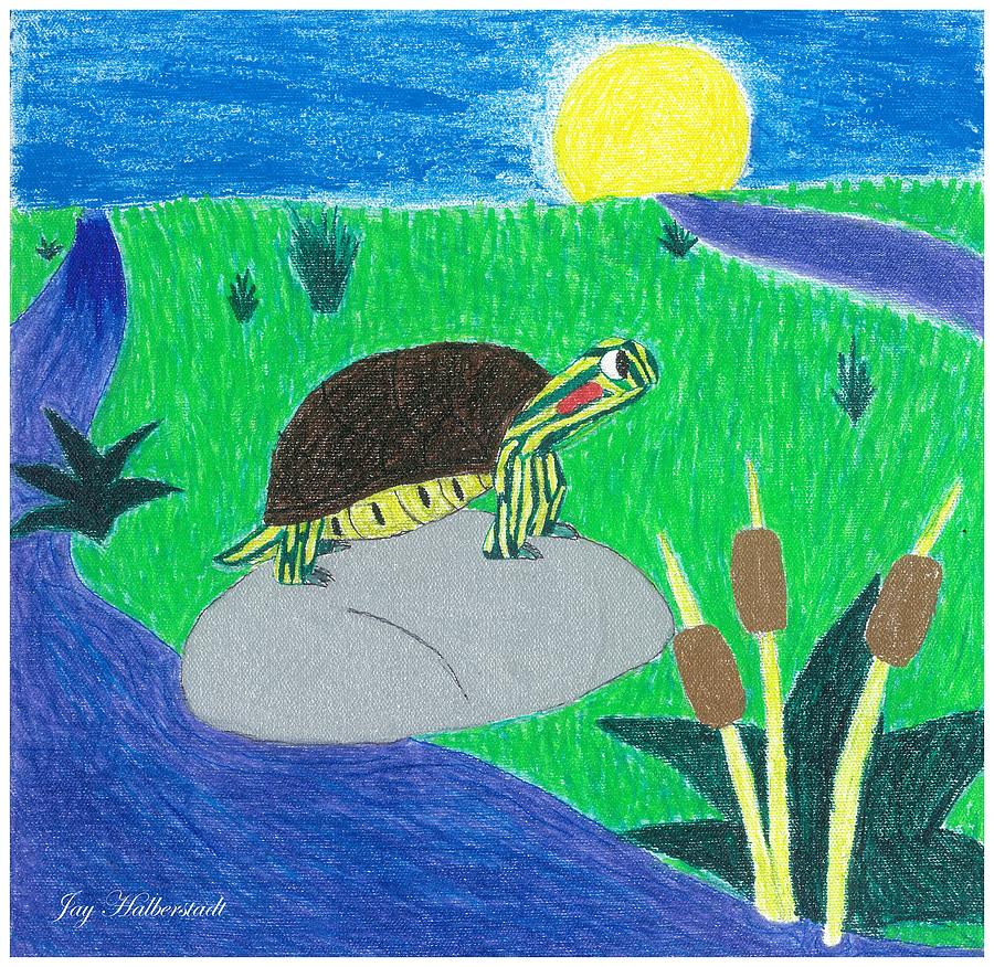 Turtle Painting by Jayson Halberstadt