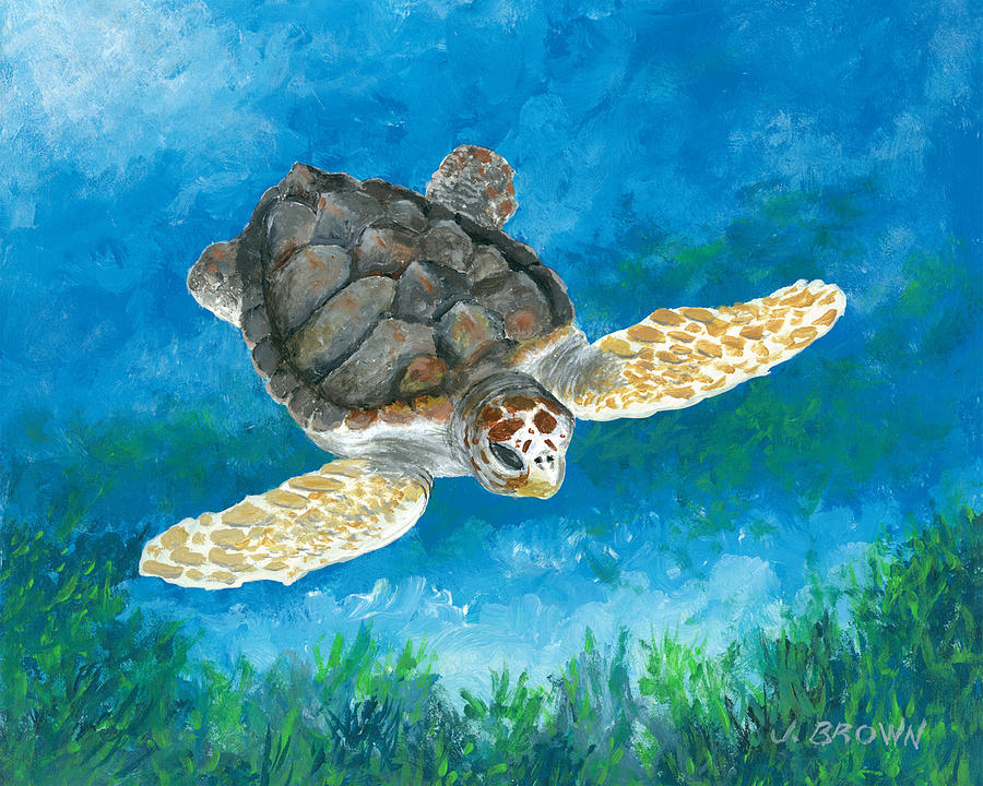 Turtle Painting by John Brown - Fine Art America