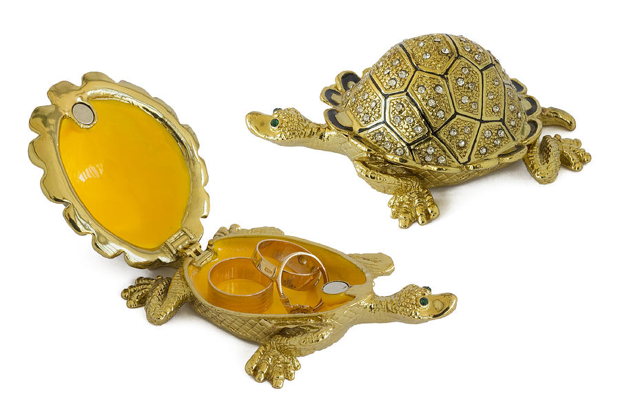 Turtle - metal box for jewelry Photograph by Aleksandr Volkov - Fine ...