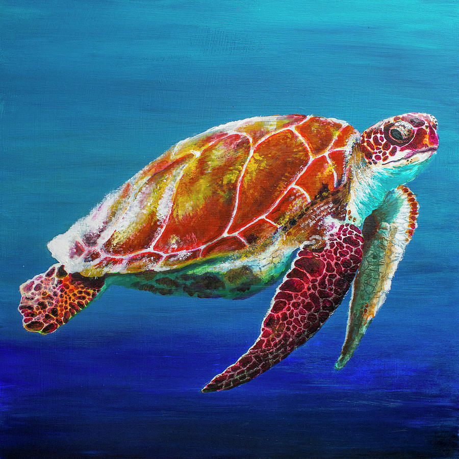 Turtle Painting by Nikolai Jonasson - Fine Art America