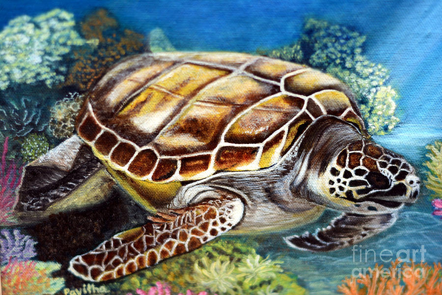 Turtle Painting by Pavitha Ashwin - Fine Art America