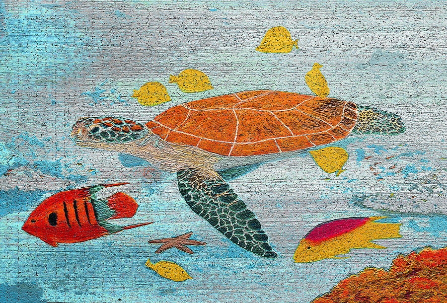 Turtle Reef On Wood Painting by Ken Figurski