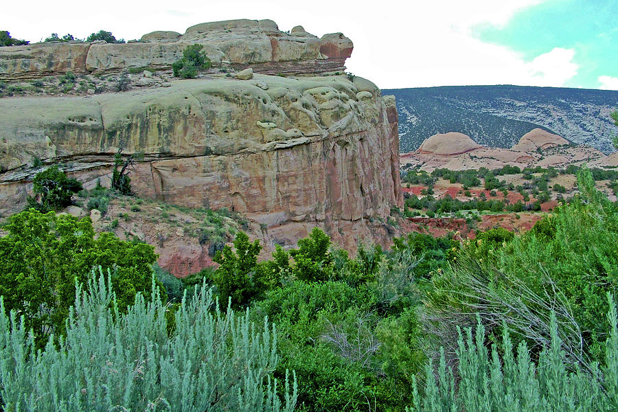 Turtle Rock on Tour of the Tilted Rocks in Dinosaur National Monument, Utah Photograph by Ruth Hager