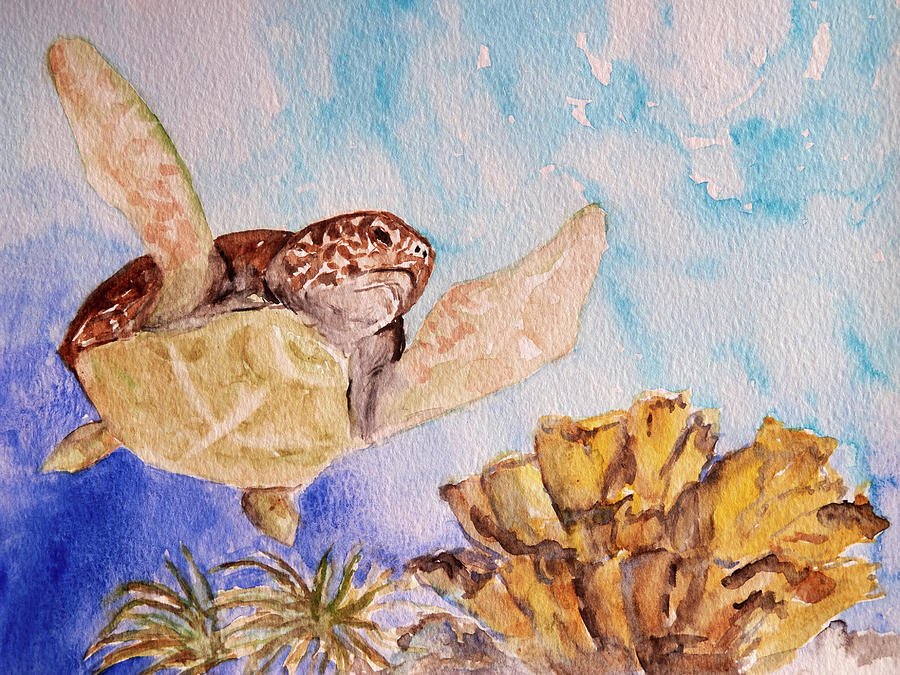 Turtle Soar Painting by Patricia Beebe