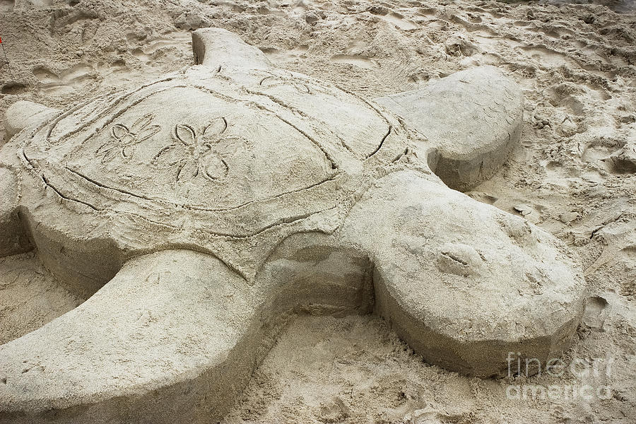 Turtle Time Sand Sculpture Photograph by Colleen Kammerer