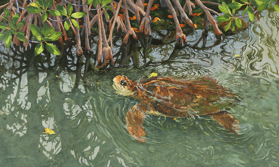 Turtle Painting - Turtle Waters by Carol McArdle