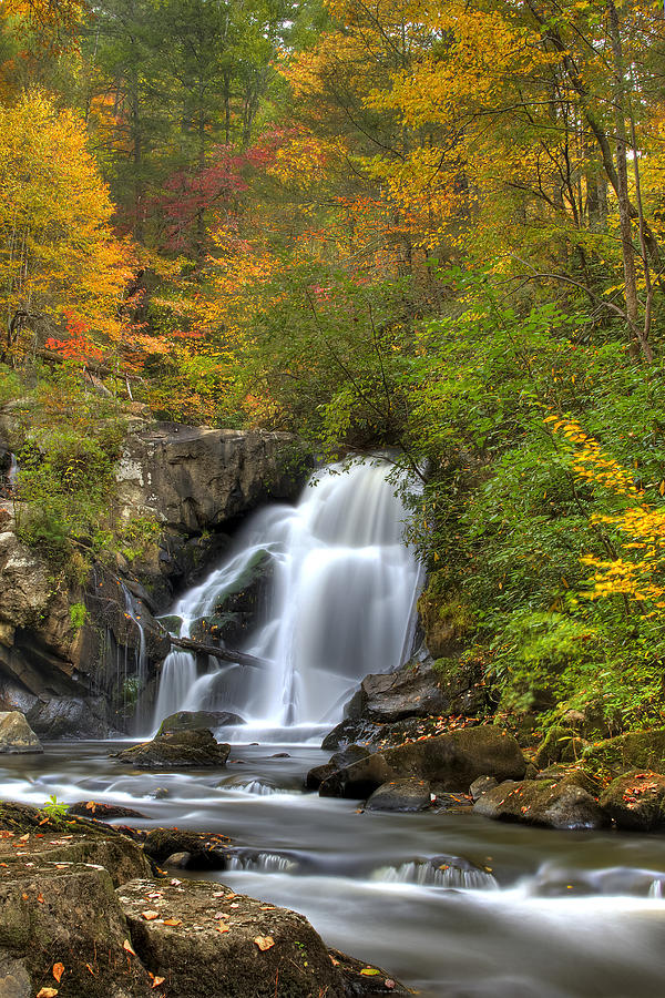 Turtletown Creek Falls Photograph by Debra and Dave Vanderlaan