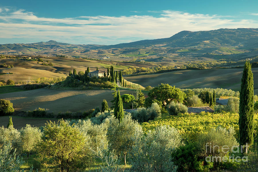 Tuscan Afternoon Photograph by Brian Jannsen