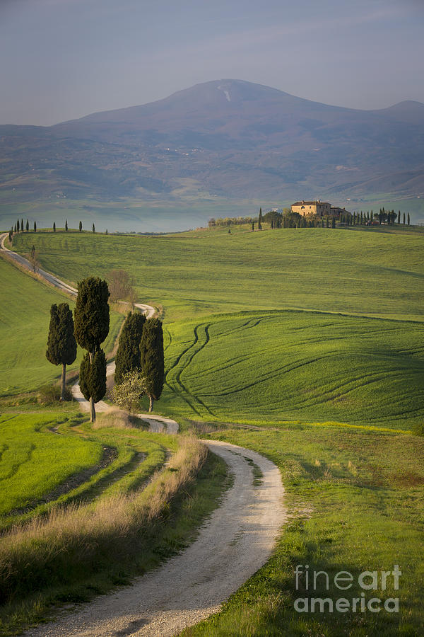 Tuscan Country Road Photograph by Brian Jannsen
