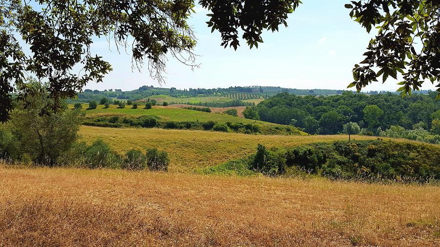 Tuscan Country Photograph by Valentino Visentini