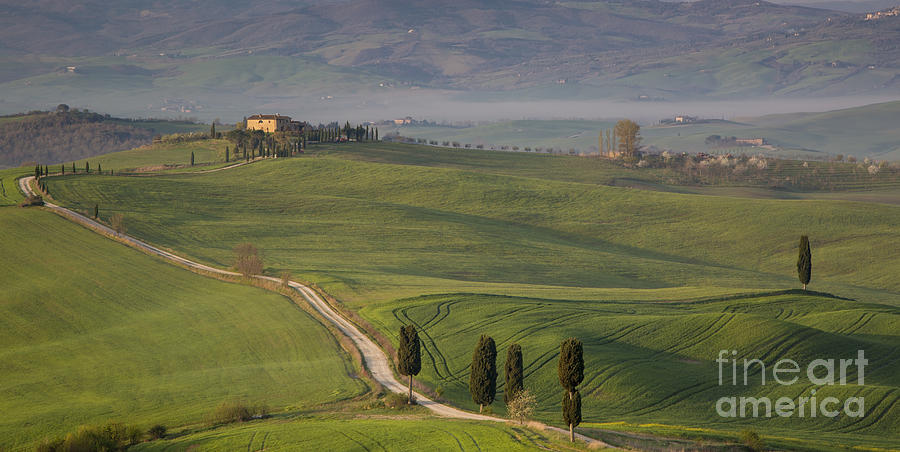 Tuscan Countryside Photograph by Brian Jannsen