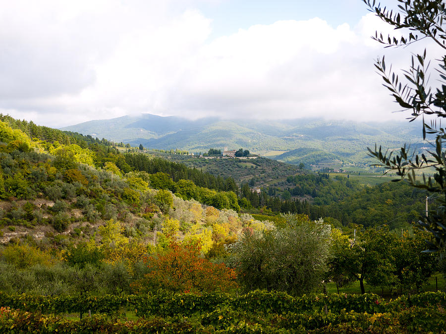 Fall Photograph - Tuscan Countryside by Rae Tucker