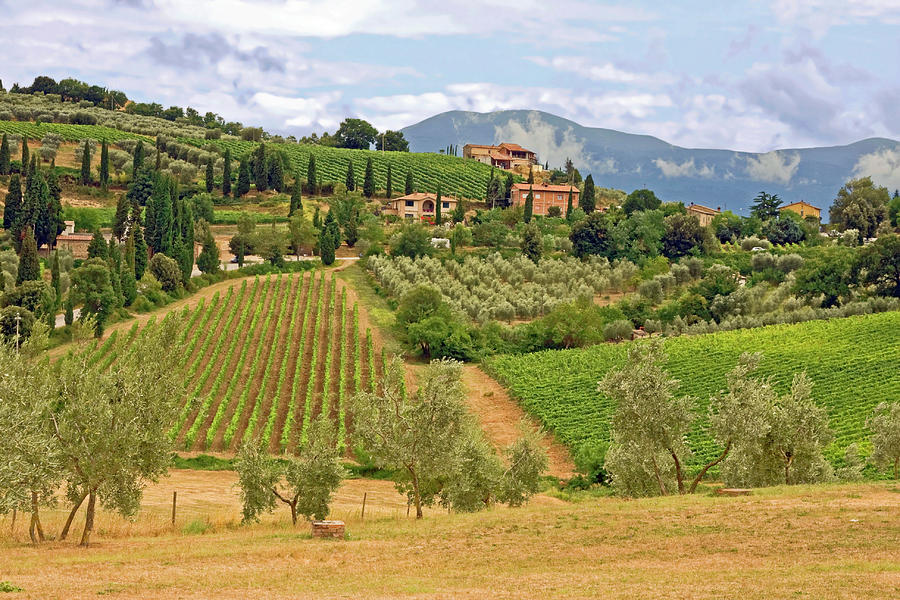 Tuscan Countryside Photograph by Sally Weigand